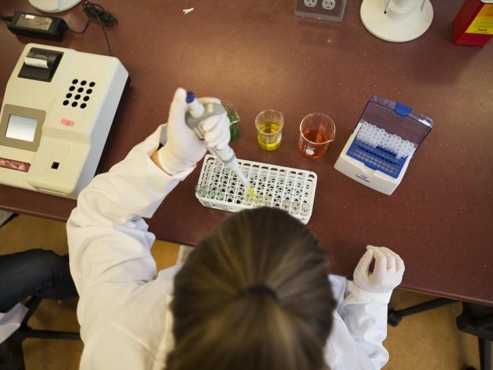 Overhead view of the student pipetting green orange or yellow liquid into test tubes